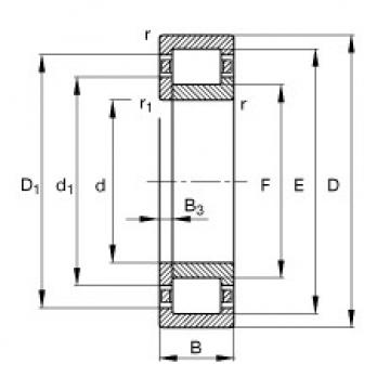 cylindrical bearing nomenclature NUP306-E-TVP2 FAG