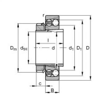 Self-Aligning Ball Bearings 1209-K-TVH-C3 + H209 FAG