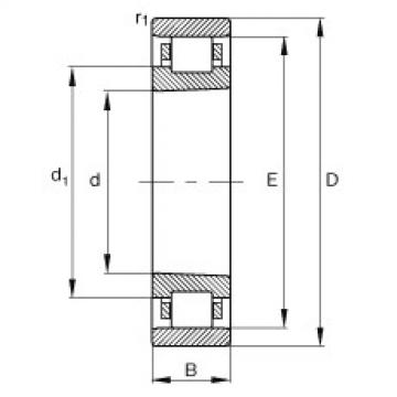 Cylindrical Roller Bearings N1911-K-M1-SP FAG