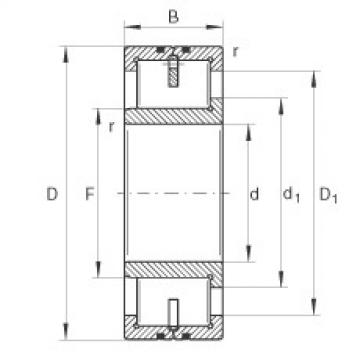 Cylindrical Roller Bearings LSL192332-TB INA