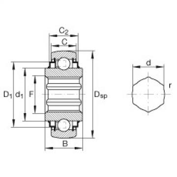 Bearing Original Brand SKE17-204-KRR-B  INA   