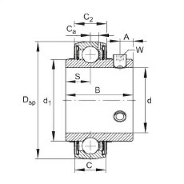 Bearing Original Brand UC205  FAG   