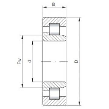 Cylindrical Bearing NJ2328 E CX