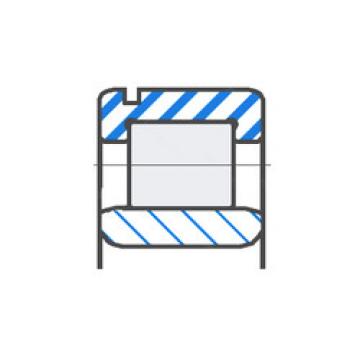 Cylindrical Roller Bearings 712114710 INA