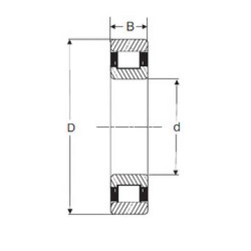 Cylindrical Roller Bearings LRJ 1.1/8 SIGMA