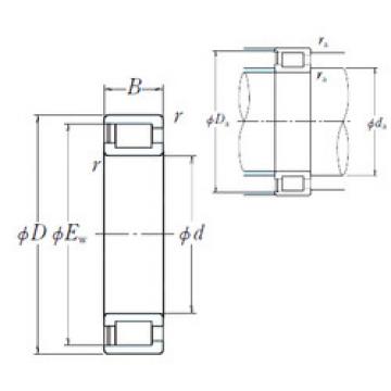 Cylindrical Roller Bearings NCF1884V NSK