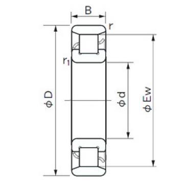 Cylindrical Roller Bearings N 1013 NACHI