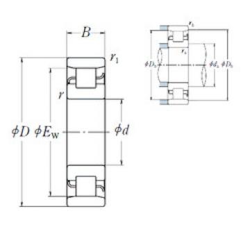 Cylindrical Roller Bearings N 206 NSK