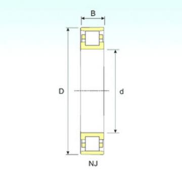 Cylindrical Roller Bearings N 20/1250 ISB