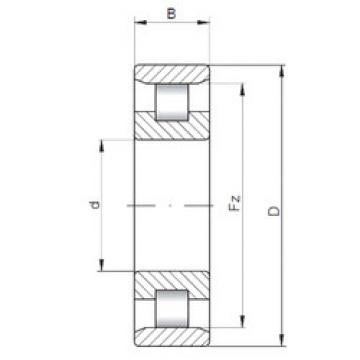 Cylindrical Roller Bearings N18/670 CX