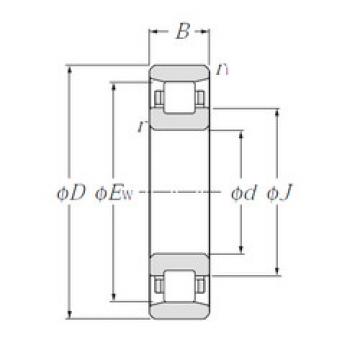 Cylindrical Roller Bearings N1004 CYSD