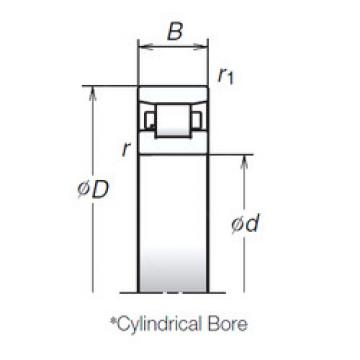 Cylindrical Roller Bearings N1014BMR1 NSK