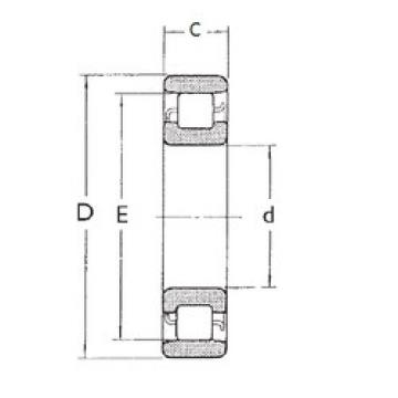 Cylindrical Roller Bearings N205 FBJ