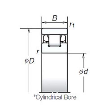 Cylindrical Roller Bearings N1010RSTP NSK