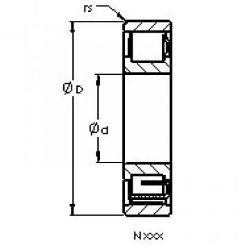 Cylindrical Roller Bearings N208 AST