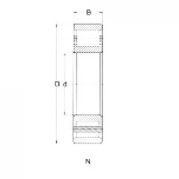 Cylindrical Roller Bearings N207 CRAFT