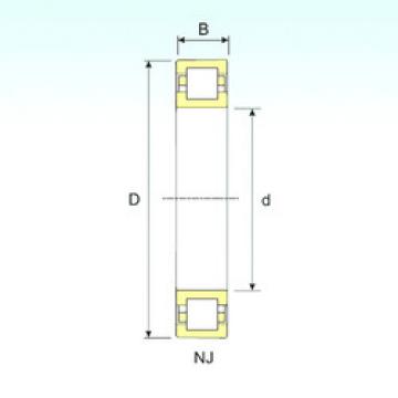 Cylindrical Roller Bearings Distributior NUP 2214 ISB