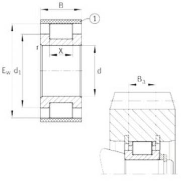 cylindrical bearing nomenclature RSL183005-A INA