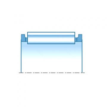 Needle Roller Bearing Manufacture PK19X25X22.8 NTN