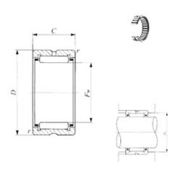 Needle Roller Bearing Manufacture RNA 49/52 IKO