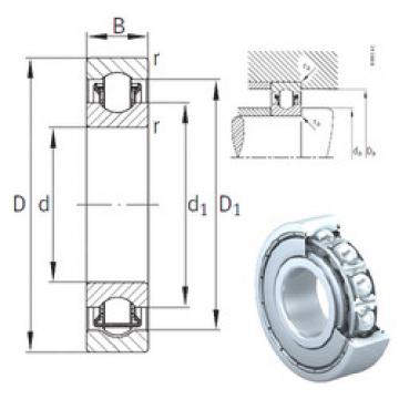 needle roller thrust bearing catalog BXRE006-2Z INA