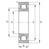 Cylindrical Roller Bearings N1017-K-M1-SP FAG