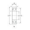 Cylindrical Roller Bearings N230 KOYO