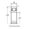 Cylindrical Roller Bearings N1006MR1 NSK