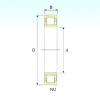 Cylindrical Roller Bearings Distributior NU 30/630 ISB