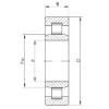 Cylindrical Roller Bearings Distributior NU29/1000 ISO #1 small image