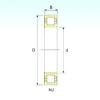 Cylindrical Roller Bearings Distributior NUP 2214 ISB