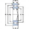 angular contact thrust bearings 7001 ACE/P4A SKF #5 small image