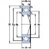 angular contact ball bearing installation S7000 ACE/HCP4A SKF