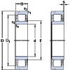 thrust ball bearing applications NU 309 ECNP SKF