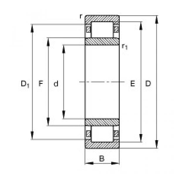 Cylindrical Roller Bearings Distributior NU1011-E-M1 FAG #1 image