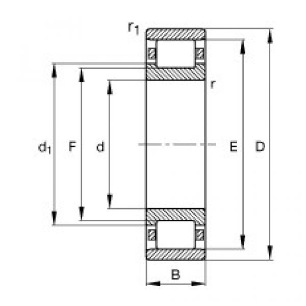 Cylindrical Roller Bearings N203-E-TVP2 FAG #1 image