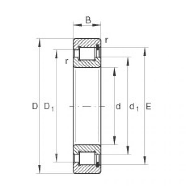 cylindrical bearing nomenclature SL1818/530-E-TB INA #1 image