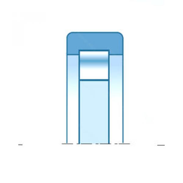 cylindrical bearing nomenclature RUS1007 NTN #1 image