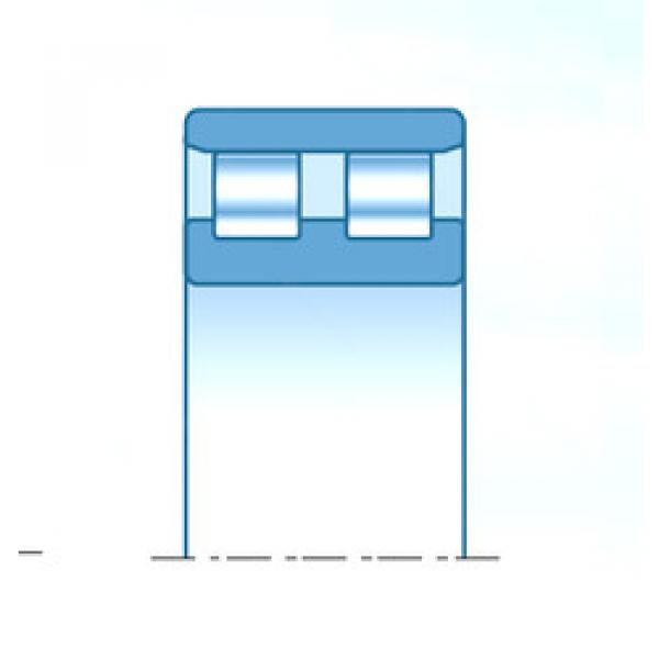 cylindrical bearing nomenclature RNN3025 NTN #1 image