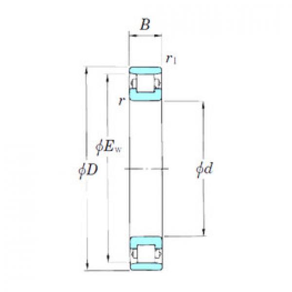 Cylindrical Roller Bearings 3NCN1008 KOYO #1 image