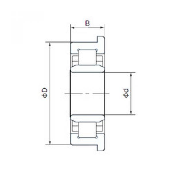 Cylindrical Roller Bearings 512099TVP2 FAG #1 image