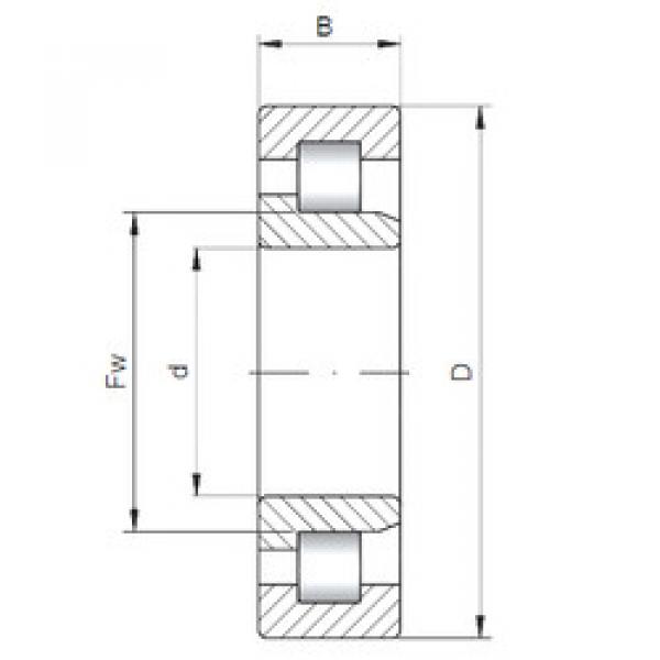 Cylindrical Bearing NJ1022 CX #1 image