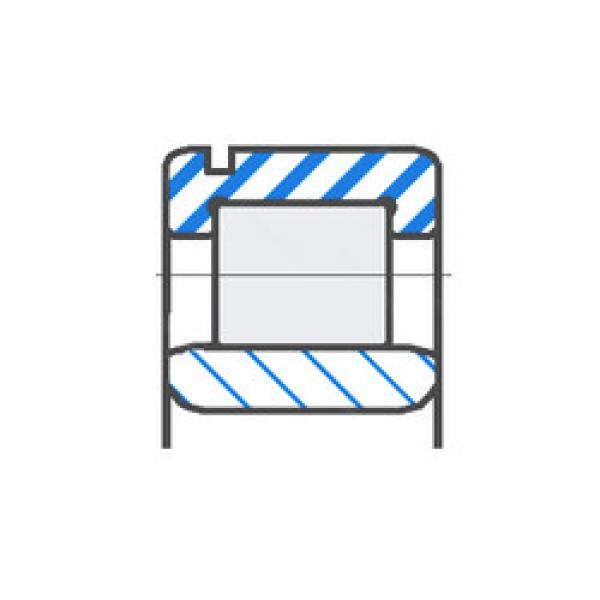 Cylindrical Roller Bearings F-232349 FAG #1 image