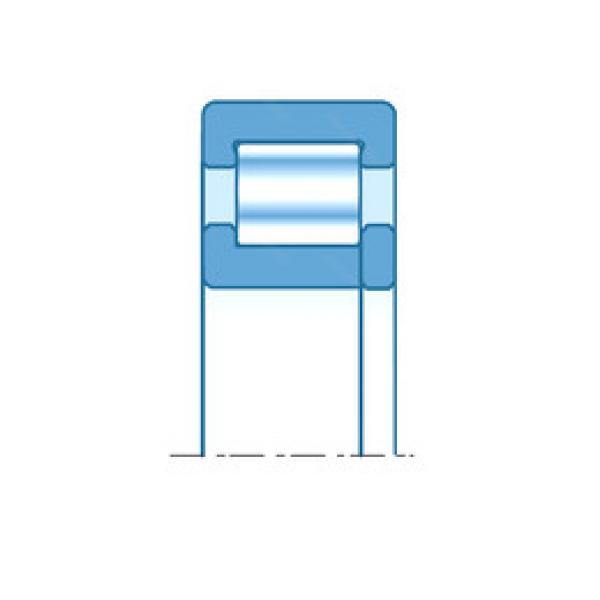 cylindrical bearing nomenclature NUP309EG15 SNR #1 image