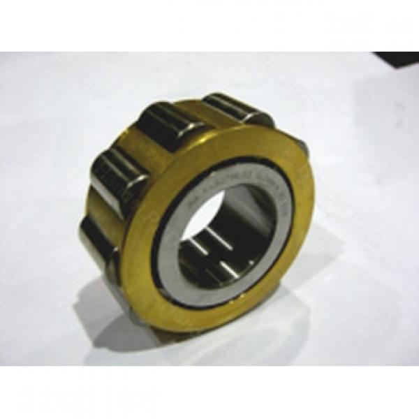 Cylindrical Roller Bearings F-202987.1 FAG #1 image