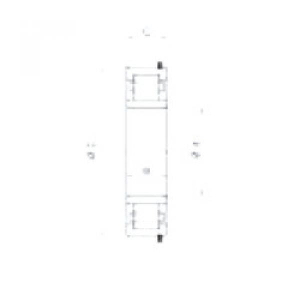 Cylindrical Roller Bearings F19012 Fersa #1 image