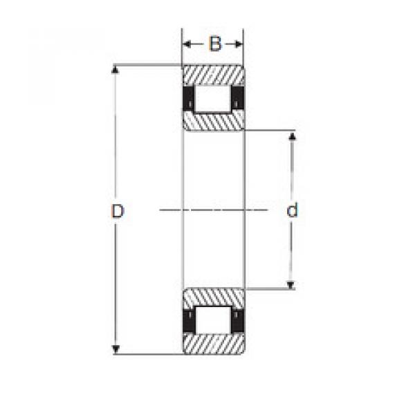 cylindrical bearing nomenclature RXLS 6.1/2 SIGMA #1 image