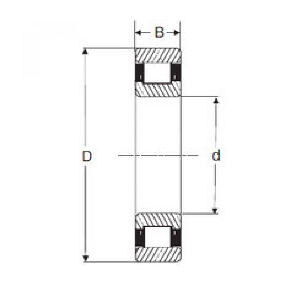 Cylindrical Roller Bearings MRJ 2.1/4 SIGMA #1 image
