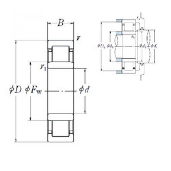 Cylindrical Roller Bearings Distributior NU 207 EW NSK #1 image