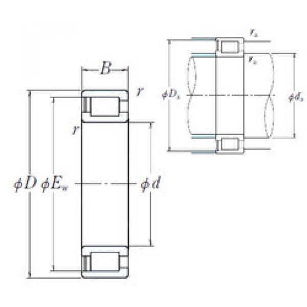 Cylindrical Roller Bearings NCF1838V NSK #1 image